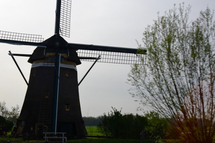 24EDBE6D-B8A2-46A4-8BB4-6674A8B00A99