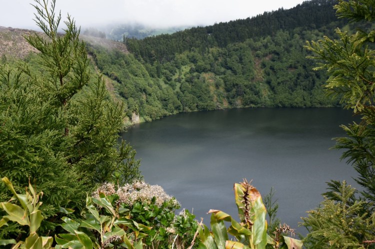 4FF3597B-756E-4184-BAE9-5C01F3F9A5D3