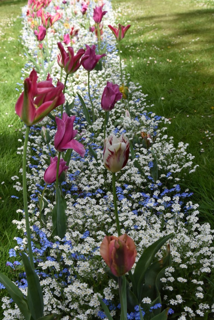 C53F0F89-0F24-4B2F-B525-C10B64D0146B