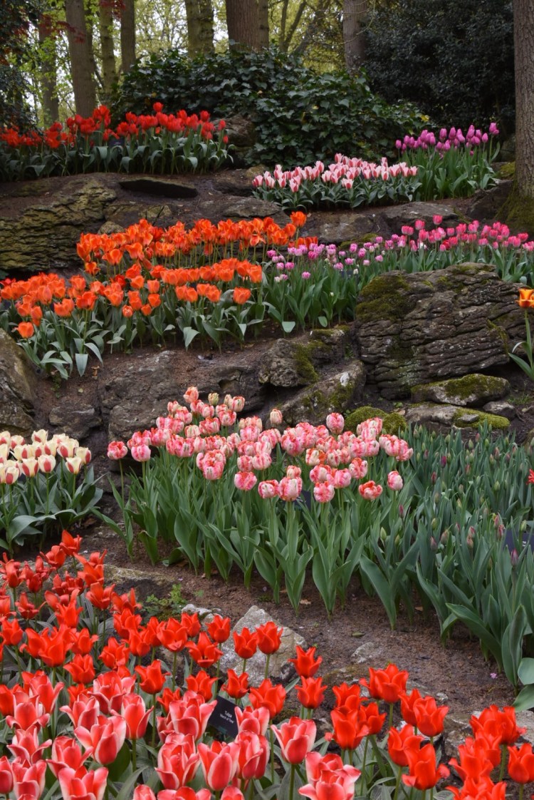 E6AE8D5D-DE6C-4024-9574-1D4616AD2BEF