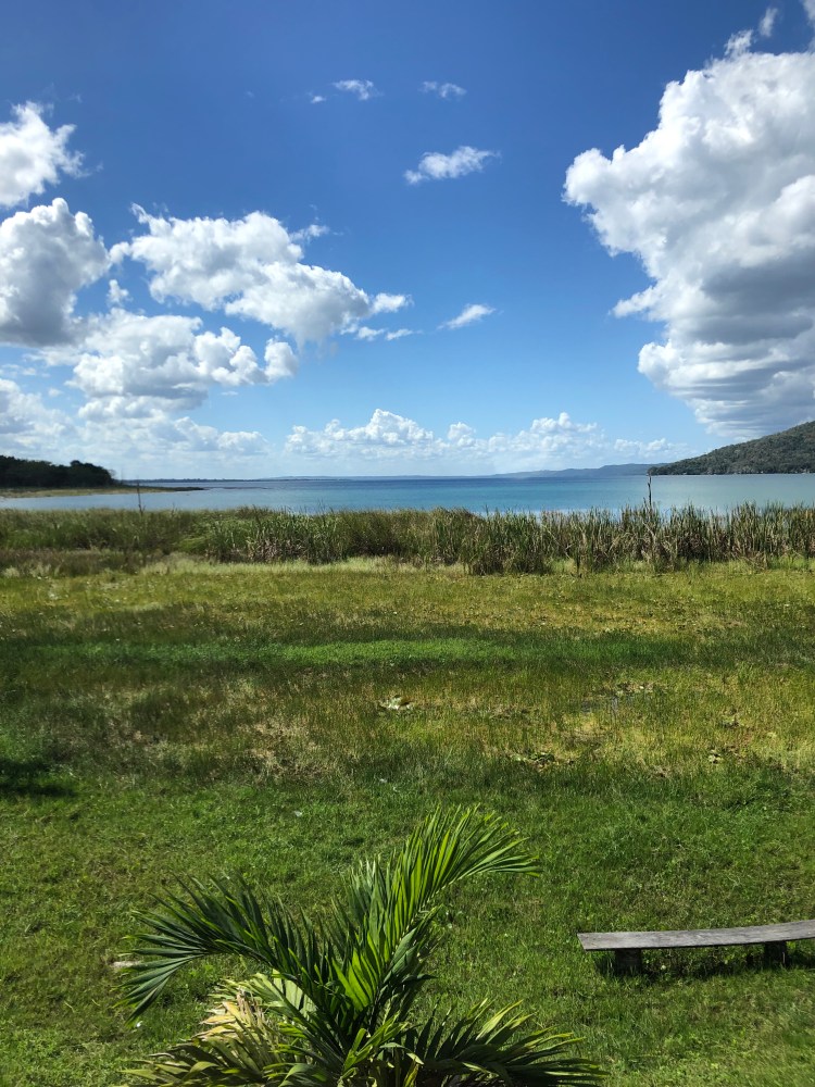 C253C61C-B8B5-49C5-8660-86457E858EC6