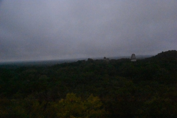 DEE3B1FE-4D5B-468E-B52D-8B2DFD927C81