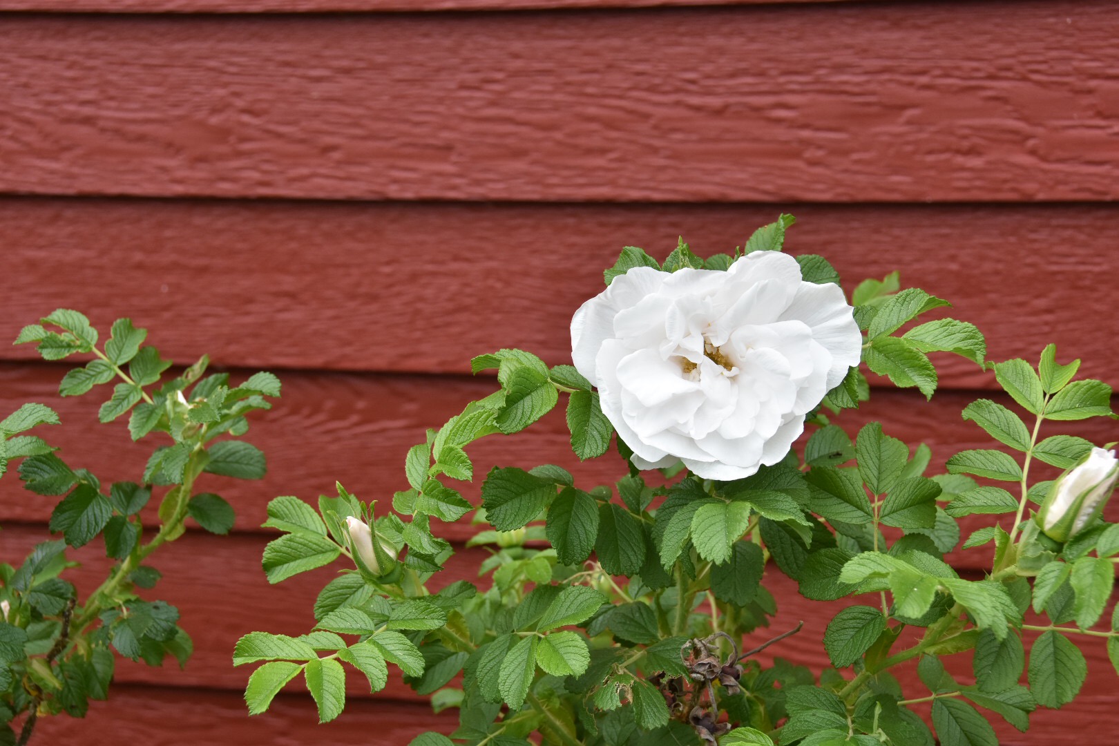 282E41CE-3C1D-4843-B128-4E8019600A5B