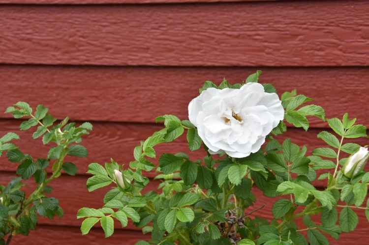 282E41CE-3C1D-4843-B128-4E8019600A5B