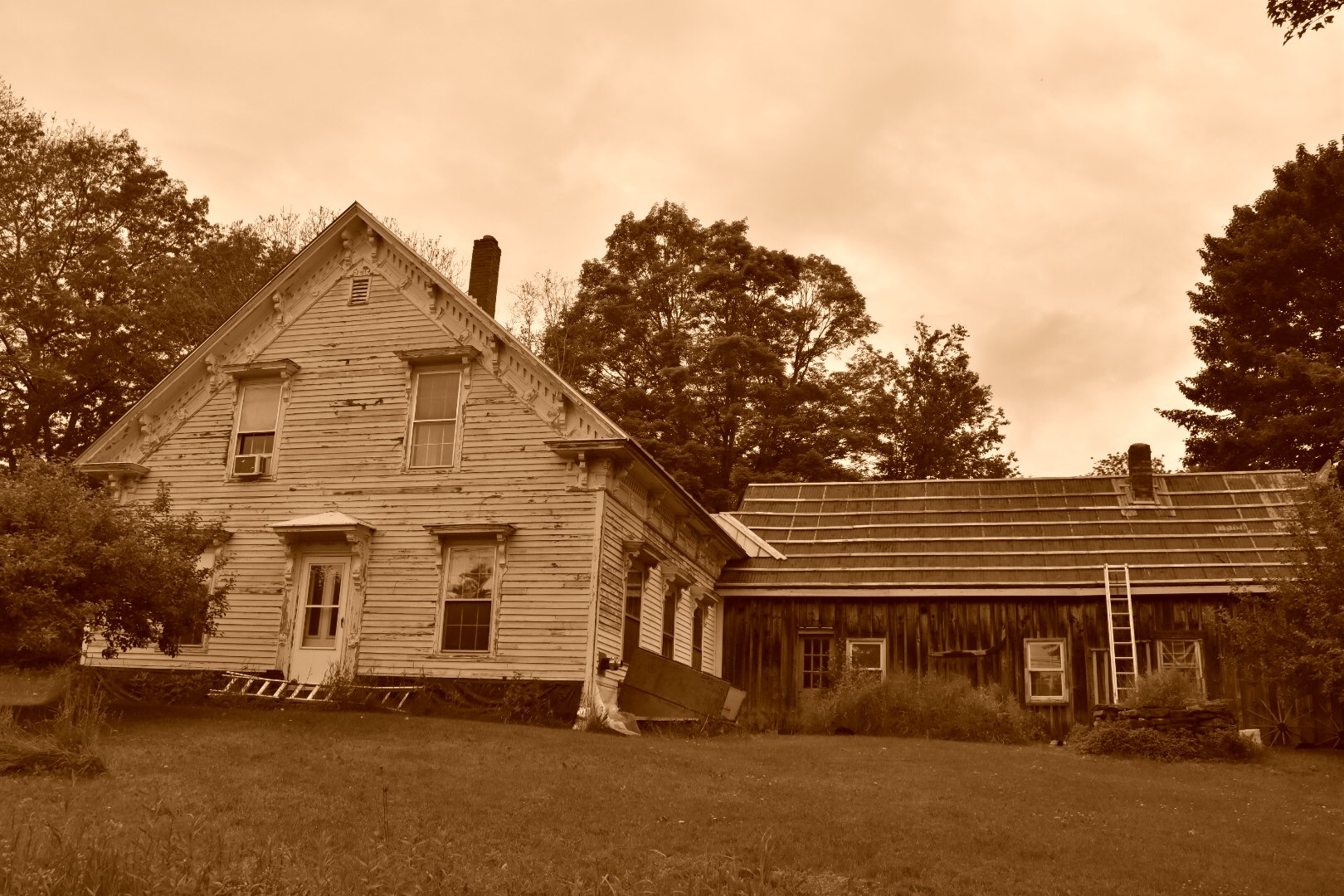 40714469-82BB-472B-835A-B73E076C380B