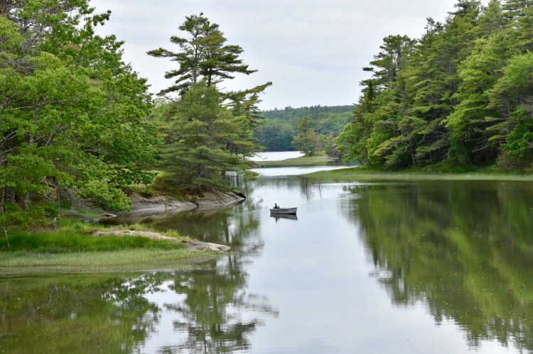 5597C1BE-6EE8-4CA8-B884-BBEA16CF3D20