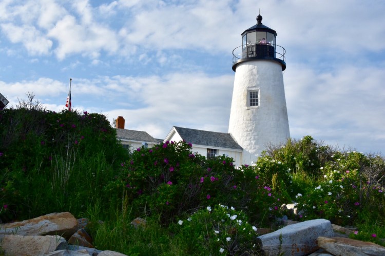 7694C1B8-E65B-45F1-B395-A1FC3DF1F5F2