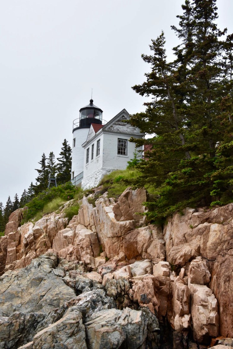 8A7539A7-D217-461C-9127-F56D8784FBC2