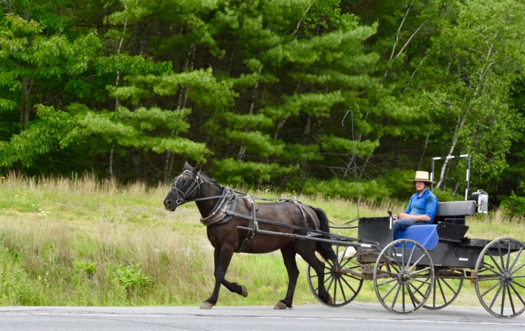 9ECCD49D-658E-429F-AB59-0666FE8AEB53