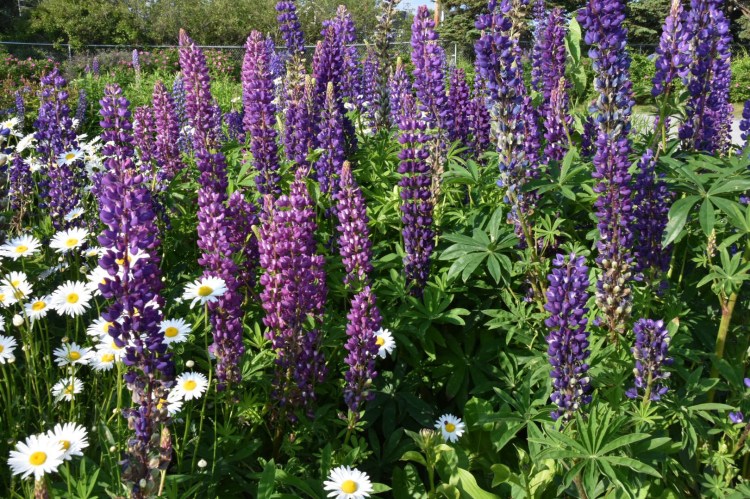 C575CACC-7DF0-4546-9147-6A644A8A3506