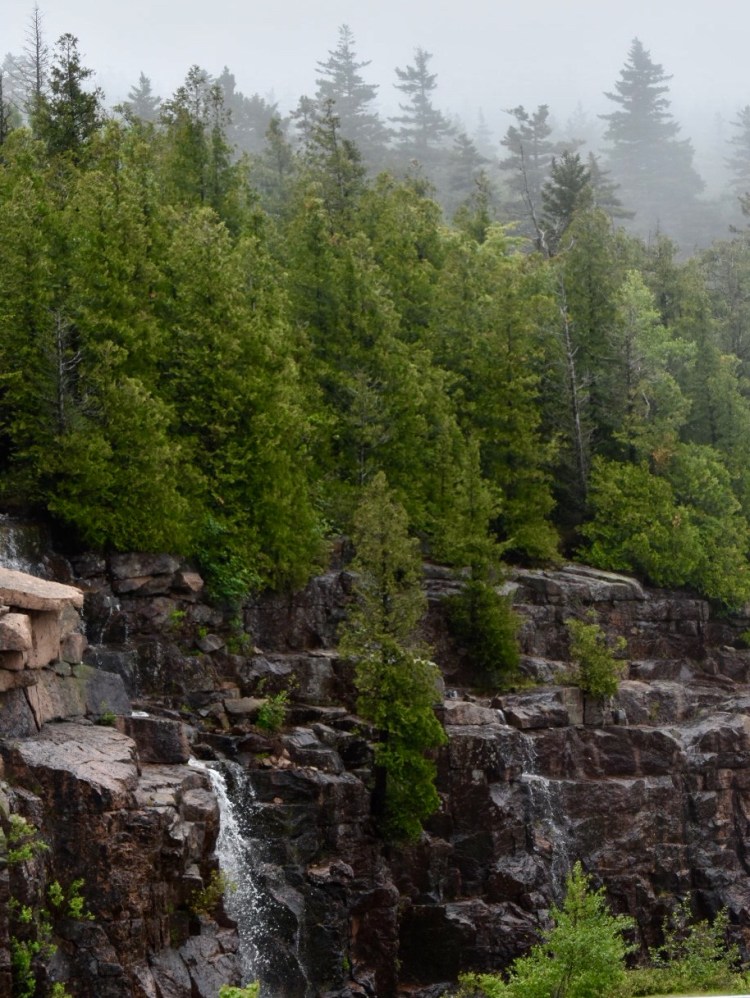 C8F19A19-550E-42AD-B249-8CF6AAB15A24