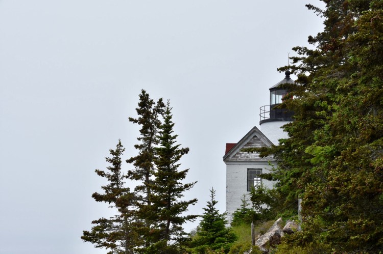 FC6AF57A-8265-4A24-B605-C75A31287063