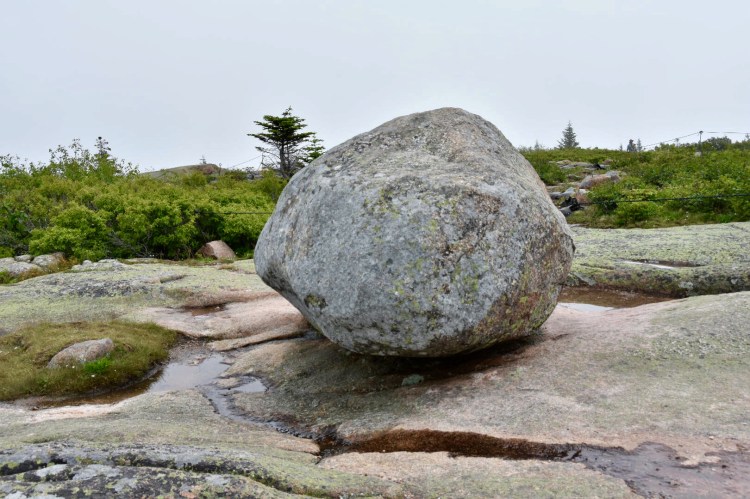 FD2B0911-39C8-440D-B2C9-0FC380B7DF7F