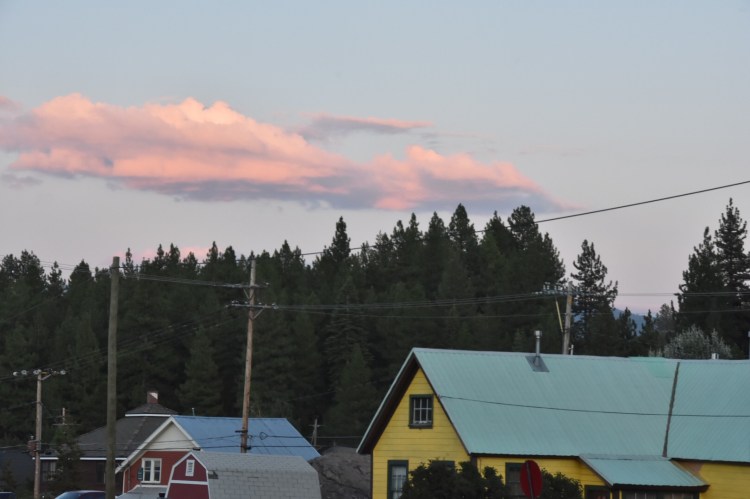 31CF3114-5FDD-4422-A236-24E74E2CDC90